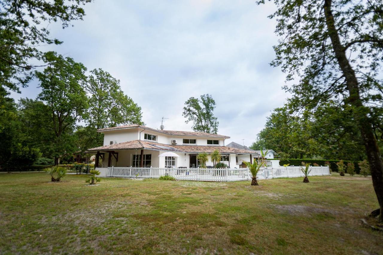 La Villa Minvia Les Landes Entre Mer Et Montagne Saint-Vincent-de-Paul  Exterior foto